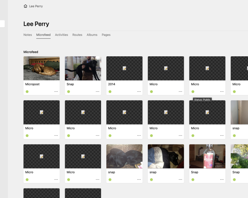Admin console view of new Kirby CMS dashboard with new microblog section