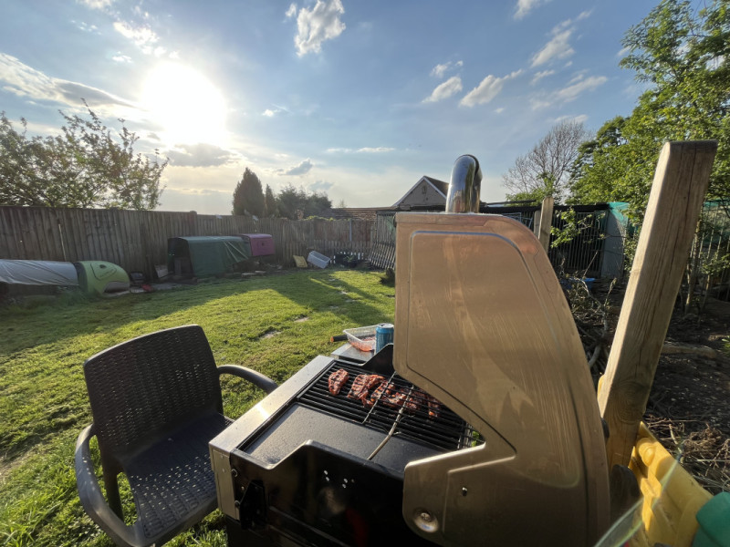 Picture of a gas barbecue, surrounded by freshly mowed grass and chicken coups, under a blue sky.