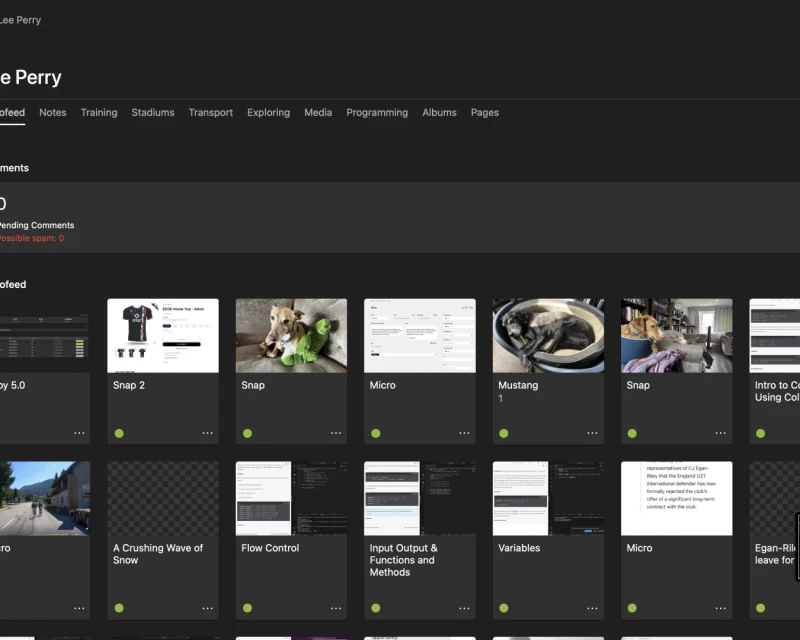 Screenshot from my Kirby CMS panel showing dark background for the first time.