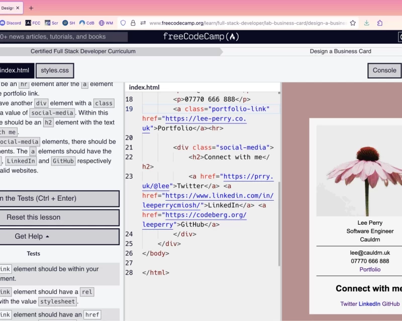 Screenshot of the freecodecamp IDE with task description in the left pane, code in the centre, and output preview to the right