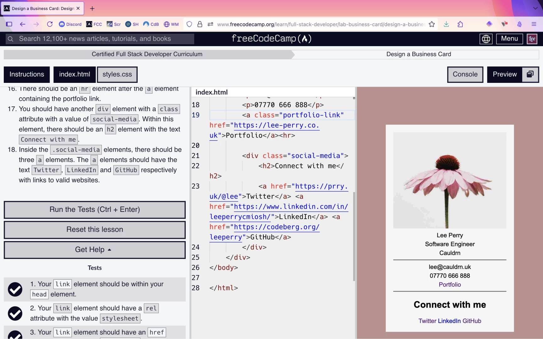 Screenshot of the freecodecamp IDE with task description in the left pane, code in the centre, and output preview to the right